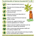 100% pure Natural valerian essential oil